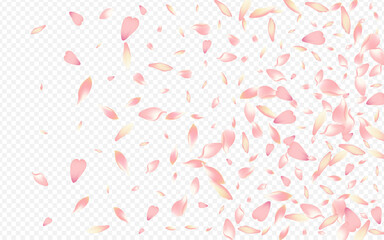 White Cherry Vector Transparent Background. Tree