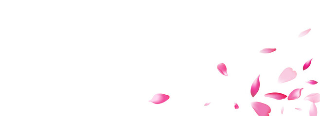 Transparent Peach Petal Vector Panoramic