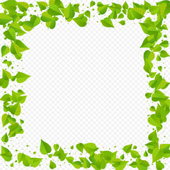 Swamp Foliage Motion Vector Transparent