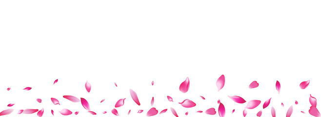 White Apple Petal Vector Panoramic Background.