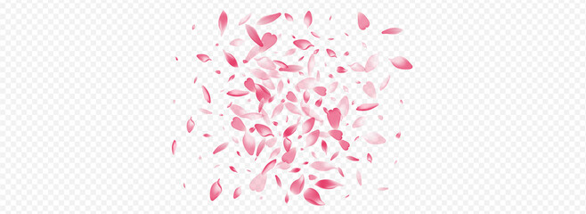 Pink Blossom Vector Panoramic Transparent