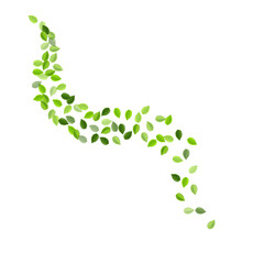 Olive Leaf Spring Vector Banner. Forest Greens