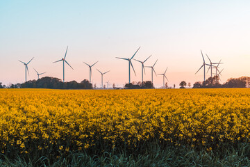 Wind Power Turbines in Northern Germany