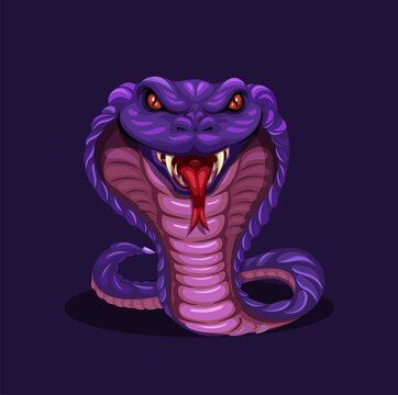 Snake animal figure character mascot symbol cartoon illustration vector