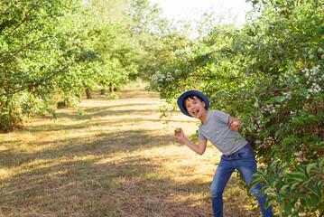 Naklejka na ściany i meble A cheerful kid in jeans, a T-shirt and a blue hat is playing in the garden among the apple trees.