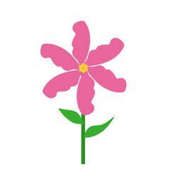 Fototapeta premium Pink flowers