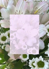 Background with flowers for invitation or congratulations.