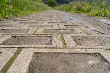 雨上がりの歩道