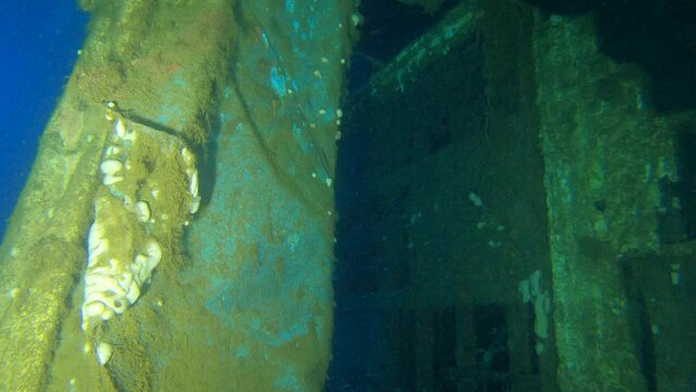 Scuba Divers Swims On The Shipwreck Swedish Ferry Zenobia. Wreck Diving in Larnaca, Cyprus.