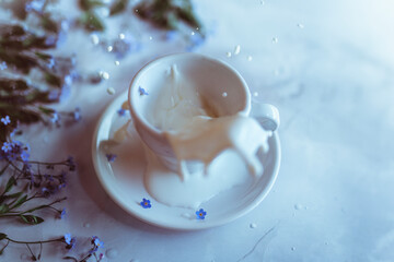 Splash of fresh milk. Milk with flowers in a white mug on a light background
