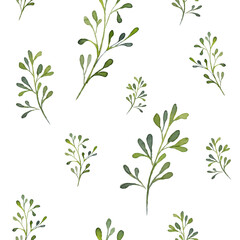 Set of watercolor rose design elements, flowers, leaves, twigs, shoots, branches, botanical illustration isolated on white background