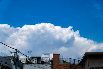 Fototapeta premium 夏の空