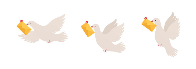 Bird with message in different positions. Pigeon with envelope. Concept chat and communication, message passing.