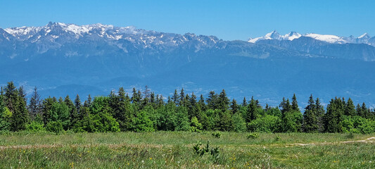 Le plateau du Vercors vu depuis les crêtes de la Molière 