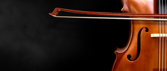 Violin on a black background.