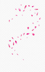 Red Peach Summer Vector Transparent Background.