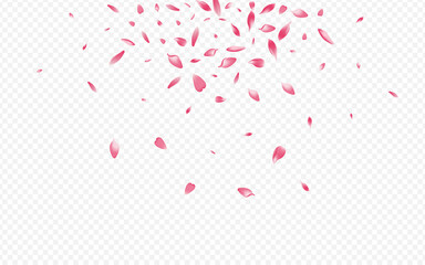 Light Leaf Vector Transparent Background. Rosa