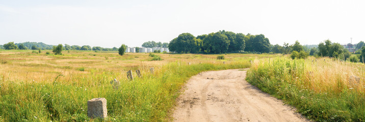 endless meadows of green grass on a sunny day