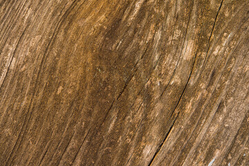 Surface of natural wood aged with the trace of the fibers