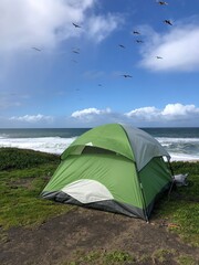 Green tent on the beach, California camping, Francis Beach Campground, Bay Area day trip activities
