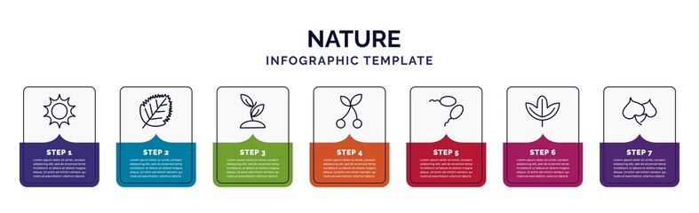 infographic template with icons and 7 options or steps. infographic for nature concept. included sol, birch leaf, seeding, cherry leaf, fertilize clinic, sassafras leaf, cercis icons.