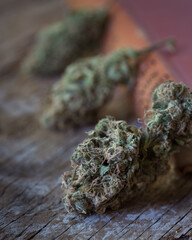 Cannabis buds dried and trimmed. Marijuana buds photographed in natural light. Close up with lots of detail. 