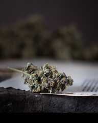 Cannabis buds dried and trimmed. Marijuana buds photographed in natural light. Close up with lots of detail. 