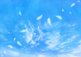 青空に舞う天使の羽 © のら