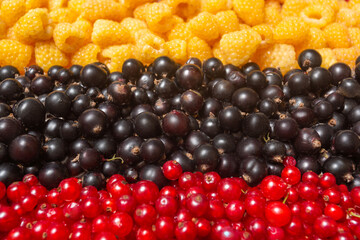 Berries background. Raspberry and currant, sweet and ripe berries mix.