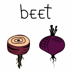 Isolated doodle beets. Vector icons, hand-drawn beetroot vegetable stickers. Summer harvest illustration.