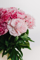 Beautiful bouquet of pink pastel peony flowers on a white background.
