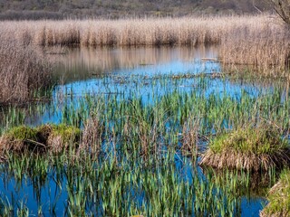 lake
