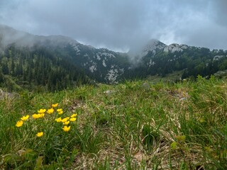 Obraz premium mountain