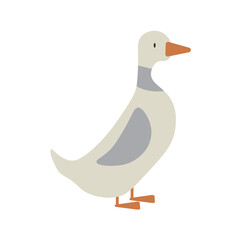 farm gray goose. Isolated vector illustration Icon for web. EPS