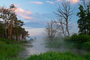 Fototapeta na wymiar spring morning on the oxbow lake of the river