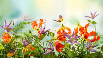 Fototapete bei efototapeten.de bestellen   