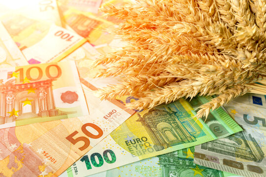 Ripe ears of wheat on 100 and 50 euro bills. Increase in the cost of wheat, bread, food. The global wheat, grain, and food crisis.