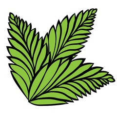 Green leaves. Isolated vector illustration. Green leaves.