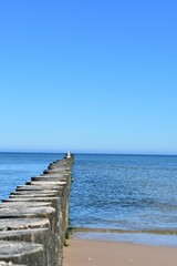 Ostsee - Polen - Wasser - Vögel - Holzstämme - Strand