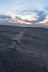 Ostsee - Polen - Möven - Wasser - Strand