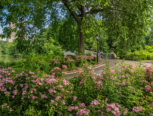 Obraz premium Bow bridge in late spring