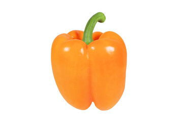 Orange pepper on an isolated white background