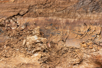 Soil on the ground as texture and background.