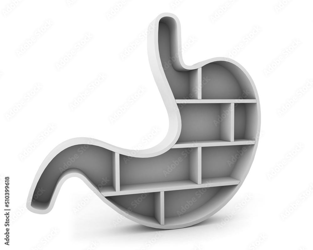 Fototapete stomach shelf side view isolated on white background. organ shelf. 3d rendering