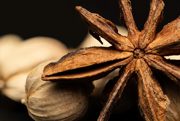 Macro photography and close up of star anise with selective focus and detail texture