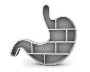 Stomach shelf isolated on white background. Organ shelf. 3d rendering