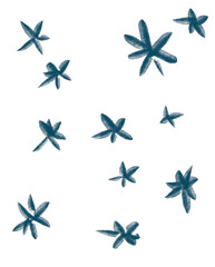 Fototapeta premium Cactus spike desert plant texture element doodle freehand illustration