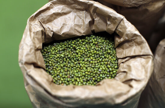 semillas de soja verde ecológica en venta a granel