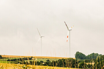 field with dramatic sky and pinwheels