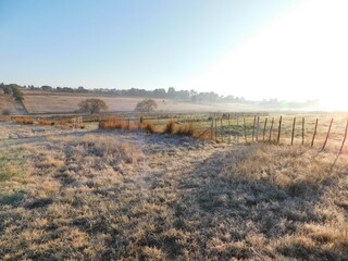 A frosted brown, orange and green, multi colored grass field on a farm, glistening in the early morning sun rays